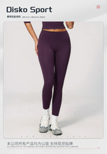 Load image into Gallery viewer, Fitness Leggings High Rise Hip Lift Brushed Soft Material For Ladies Outdoor Elastic Slim Fit Outer Wear Sports Tight Pants
