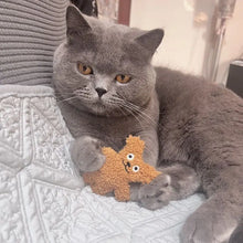 Load image into Gallery viewer, Pet Cat Mint Doll Plush Dog Toy Teddy Toy Pomerian Dog Accessories Dog Toys for Small Dogs Puppy Toys
