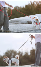 Load image into Gallery viewer, Reflective Outdoor Walking Harness Set
