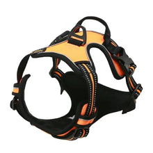 Load image into Gallery viewer, Complete Dog Collar Harness Set
