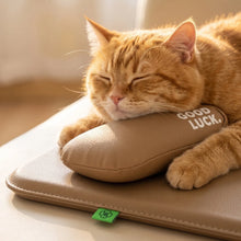 Load image into Gallery viewer, New Pet Bed with Pillow Removable and Washable Pet Mats All-Season Soft Cushion for Dogs and Cats Pet Supplies
