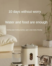 Load image into Gallery viewer, Automatic Feeder Dog Cat Food Bowl With Water Fountain Large Capacity Pet Food Storage Dispenser Container Puppy Pet Accessories
