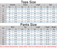 Load image into Gallery viewer, Urban Fleece Sportswear Tracksuit Set
