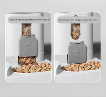 Load image into Gallery viewer, Automatic Pet Feeder and Water Dispenser All in One Large Capacity Gravity Dog Cat Bowl Smart Food Water Bowl for Pets
