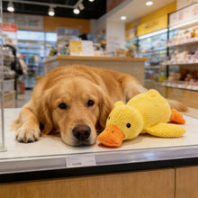 Load image into Gallery viewer, Dog Toys Durable For Biting And Teething Make Sounds To Relieve Boredom Plush Sleeping Small Medium-Sized Pet
