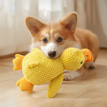 Load image into Gallery viewer, Cat Dog Toys for Aggressive Chewers Cats Dogs,Chew Squeak Toy Cats Dogs Interactive Plush Doll Pet Products

