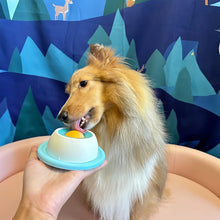 Load image into Gallery viewer, Dog Stimulation Toys Pet Lick Mat Slow Feeder Yogurt Licking Plate Interactive Cats Dog Snack Bowl Tiring Bowls Dental Care Tool

