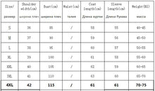 Load image into Gallery viewer, Glossy Winter Cotton Padded Parka
