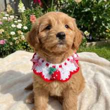 Load image into Gallery viewer, Pet Accessories Adjustable Flower Pet Scarf Bib Sweet Handmade Cat Strawberry Collar Decorative Cozy Cat Woven Bib Photo Shoots
