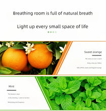 Load image into Gallery viewer, 17 Flavors 10ml Essential Oils For Aroma Diffuser AirHumidifier Home Water-soluble Lavender Rose Eucalyptus  White Peach Oolong
