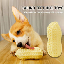 Load image into Gallery viewer, Pet Toys TPR Simulation Peanut Sound Toy Vegetable Series Dog Toys Dog Play Interactive Teeth Grinding Pet Supplies

