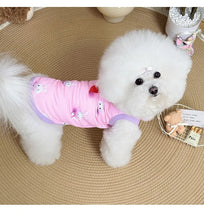 Load image into Gallery viewer, Spring pet apparel: cat &amp; dog clothing - cartoon 3d print, teddy style, cute &amp; breathable, anti-shedding, dropshipping available
