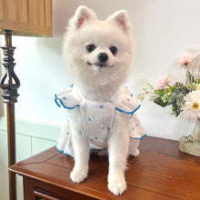 Load image into Gallery viewer, Sweet Cotton Pet Skirt Dress
