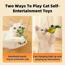Load image into Gallery viewer, The pet cat toy emulates the sound bird to amuse the cat elastic rope to relieve boredom and resist scratching and biting
