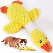 Load image into Gallery viewer, Indestructible Pet Toys for Aggressive Chewers Cats Dogs,Chew Squeak Toy Cats Dogs Interactive Plush Doll Pet Products
