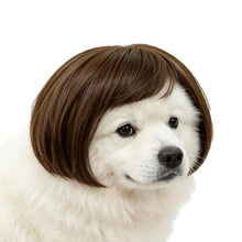 Load image into Gallery viewer, Pet Wig Accessories Dog Headdress Funny Costume Puppy Cosplay Dress Up Cute Pet Wig Cosplay Funny Props Head Accessories
