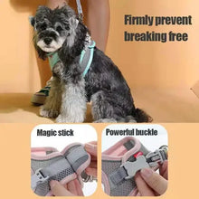Load image into Gallery viewer, Cats Dog Accessories Small Dog Collar Safety Vest Pet Chest Rope Dogs Cover Breathable Adjustable Harnesses Supplies Products

