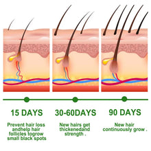 Load image into Gallery viewer, Rosemary Scalp Nourishing Hair Oil
