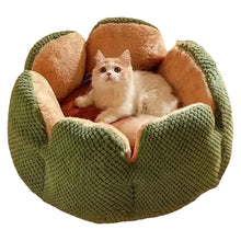 Load image into Gallery viewer, Petal Shaped Pet Bed, Plush Round Dog &amp; Cat Cushion Mat with Knitted Texture, Ultra Soft Warm Nest for Kittens Puppies in Winter
