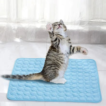 Load image into Gallery viewer, Pet Ice Mats Summer Cat Dog Sofa Nest Bed Cooling Sleeping Pad for Small Dogs Pets Durable Sofa Cooling Pad Blanket
