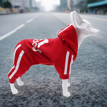 Load image into Gallery viewer, Comfortable Spring Dog Sports Suit
