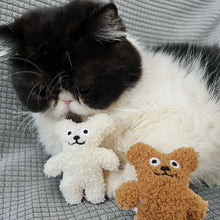 Load image into Gallery viewer, Pet Cat Mint Doll Plush Dog Toy Teddy Toy Pomerian Dog Accessories Dog Toys for Small Dogs Puppy Toys
