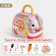 Load image into Gallery viewer, New Children's Simulation of Electric Plush Animal Toys, Play House Gifts for Boys and Girls with Sound Pet Toy Sets with Cages！

