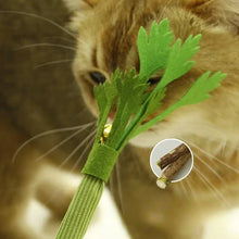 Load image into Gallery viewer, Cat Chew Toys Catnip Cat Teeth Cleaning Toy Interactive Self Playing Catnip Molar Stick Toys Bite Squeaky Cat Toy
