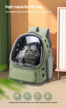 Load image into Gallery viewer, Transparent Pet Carrier Backpack Outdoor Travel Essential for Cats Small Dogs Breathable Design Comfortable Premium Pet Supplies
