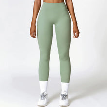 Load image into Gallery viewer, Fitness Leggings High Rise Hip Lift Brushed Soft Material For Ladies Outdoor Elastic Slim Fit Outer Wear Sports Tight Pants

