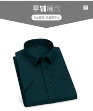 Load image into Gallery viewer, Non Iron Slim Casual Shirt
