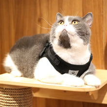 Load image into Gallery viewer, Cat Harness Lead Leash Set Adjustable Reflective Escape Proof Pet Mesh Vest Harness Puppy Dog Collar Small Dog Cat Pet Supplies
