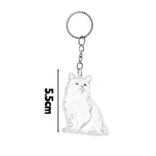 Load image into Gallery viewer, New Cat Hair Storage Keychain Bag Pendant Transparent Pet Fur Keepsake Capsule Souvenir Collection Gift Decoration Accessories
