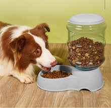 Load image into Gallery viewer, Cat and Dog Feeders Pet Water Dispensers Large Water Storage Capacity Dispensers Pet Automatic Water Dispensers Anti Knock
