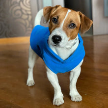 Load image into Gallery viewer, Warm Fleece Dogs Clothes Pet Dog Jacket Vest With D-Ring For Small Dog Cats Clothing French Bulldog Costumes Chihuahua Coat
