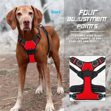 Load image into Gallery viewer, Complete Dog Collar Harness Set
