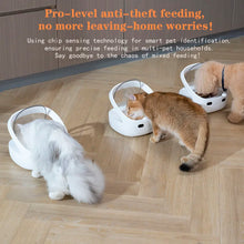 Load image into Gallery viewer, New Petoneer NutriCare Feeder Tailored For Multi-Pet Households Pet feeder Cat And Dog Feeder With App
