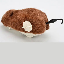 Load image into Gallery viewer, 1Pc Funny Lifelike Plush Mouse Running Rat Toy for Cats Dogs Tail Mouse Pets Kids Random Color
