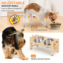 Load image into Gallery viewer, Elevated Small Toy Dog Cat Bowls Tilted Adjustable Puppy Feeder Stand with 2 Stainless Steel Bowls for Puppies Cats Accessories
