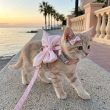 Load image into Gallery viewer, Pet Accessories Adjustable Pet Harness Cute Bow Breathable Dog Chest Strap Escape-Proof Comfort Cat Leash for Dogs Puppy Rabbit
