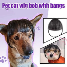 Load image into Gallery viewer, Cat Wig Accessories Dog Headdress Funny Costume Puppy Cosplay Dress Up Cute Pet Wig Cosplay Funny Props Puppy Costumes Supplies
