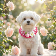 Load image into Gallery viewer, Pet Accessories Adjustable Flower Pet Scarf Bib Sweet Handmade Cat Strawberry Collar Decorative Cozy Cat Woven Bib Photo Shoots
