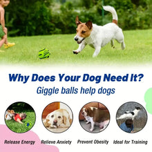 Load image into Gallery viewer, Funny Interactive Giggle Ball - Balls for Dog IQ Training, Pet Interactive Toy, Stimulating Play, Mental Stimulation, and Exerci
