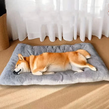 Load image into Gallery viewer, Thickened Super Soft Plush Sofa Bed
