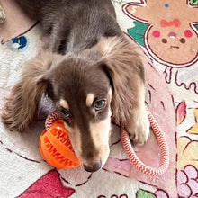Load image into Gallery viewer, Pet Toy Dog Bite-Resistant Cotton Rope Hand-Held Treat Ball for Teeth Cleaning and Training, Interactive Educational Toy Ball

