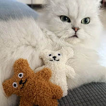 Load image into Gallery viewer, Pet Cat Mint Doll Plush Dog Toy Teddy Toy Pomerian Dog Accessories Dog Toys for Small Dogs Puppy Toys
