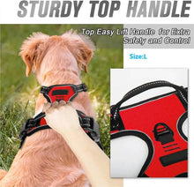 Load image into Gallery viewer, Complete Dog Collar Harness Set
