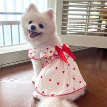 Load image into Gallery viewer, Sweet Cotton Pet Skirt Dress
