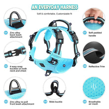 Load image into Gallery viewer, Easy Control Handle No-Pull Vest
