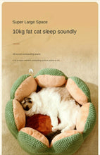 Load image into Gallery viewer, Petal Shaped Pet Bed, Plush Round Dog &amp; Cat Cushion Mat with Knitted Texture, Ultra Soft Warm Nest for Kittens Puppies in Winter
